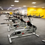 Reconditioning Gym Equipment in Birchgrove 2